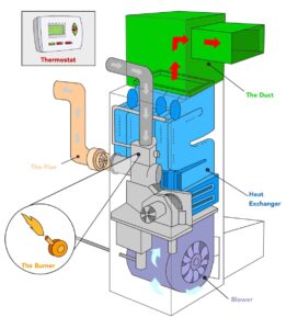 Labeled diagram of a gas furnace showing components like the burner, flue, heat exchanger, blower, and ducts.