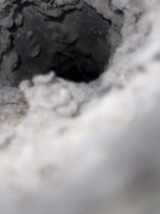 Dust and lint buildup inside a home air duct, a sign of poor indoor air quality