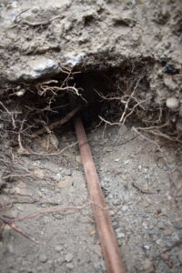 Corroded pipe and tree root intrusion found during a Tacoma plumbing inspection